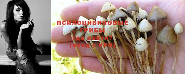 дурь Беломорск