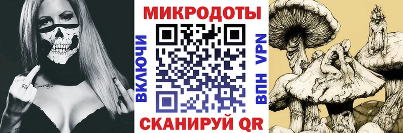 Псилоцибиновые грибы Cubensis  где найти наркотики  hydra ссылка  Астрахань 