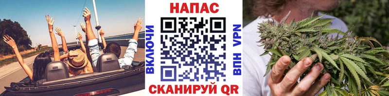 Каннабис семена  что такое   Астрахань 